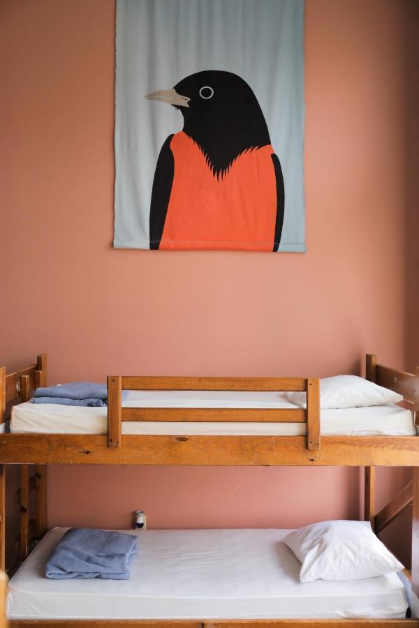 Hostel Buffalo-Niagara Luaran gambar